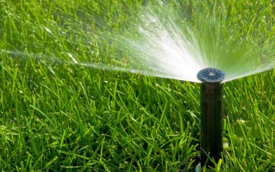 Irrigation Lawn Care for a Healthy Tallahassee Yard. (Questions & Answers)