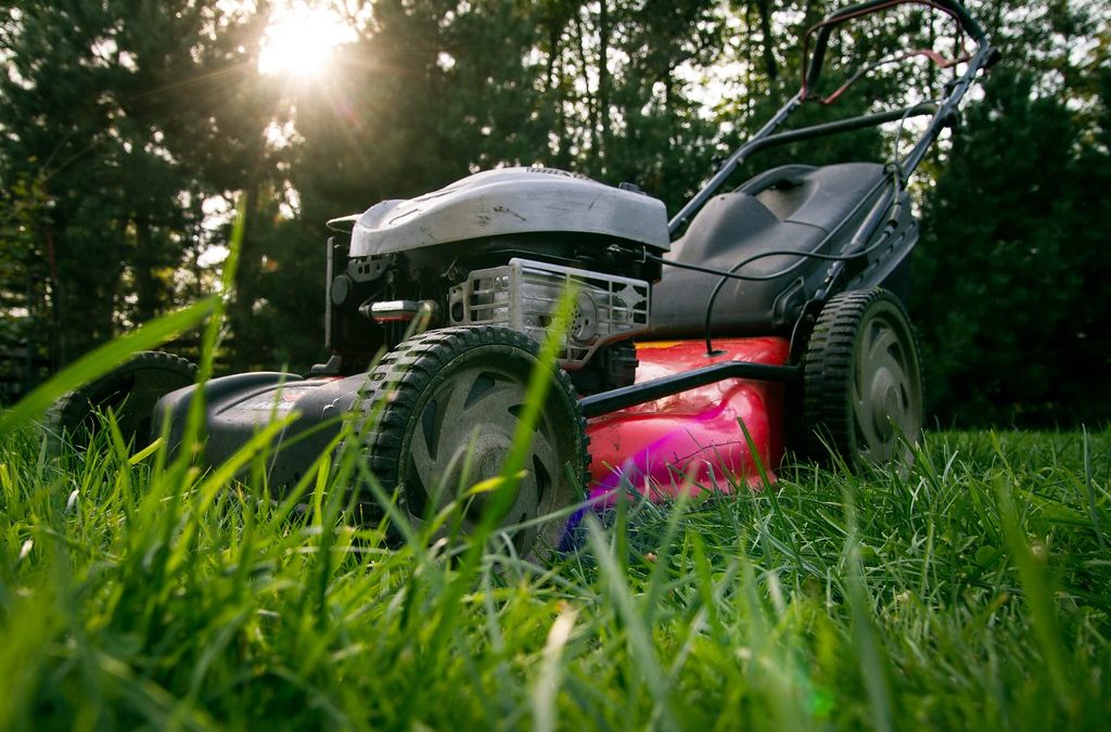 Lawnmower Blade Maintenance Tips for the Tallahassee Do-It-Yourselfer