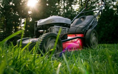 Lawnmower Blade Maintenance Tips for the Tallahassee Do-It-Yourselfer