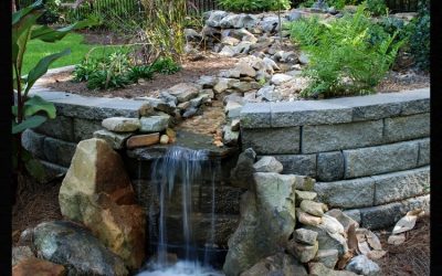 How To Enhance Your Tallahassee Garden With a Fountain, Pond, or Aqua Features