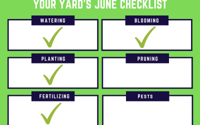 Did You Check Off These 6 Things From Your Yard’s June Checklist?