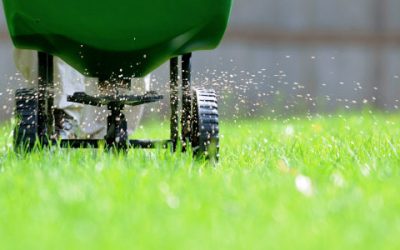 Did you fertilize your Tallahassee lawn too soon?